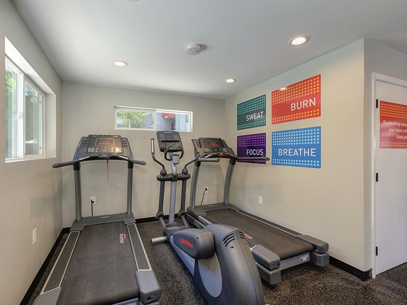Fitness Center | The Vue