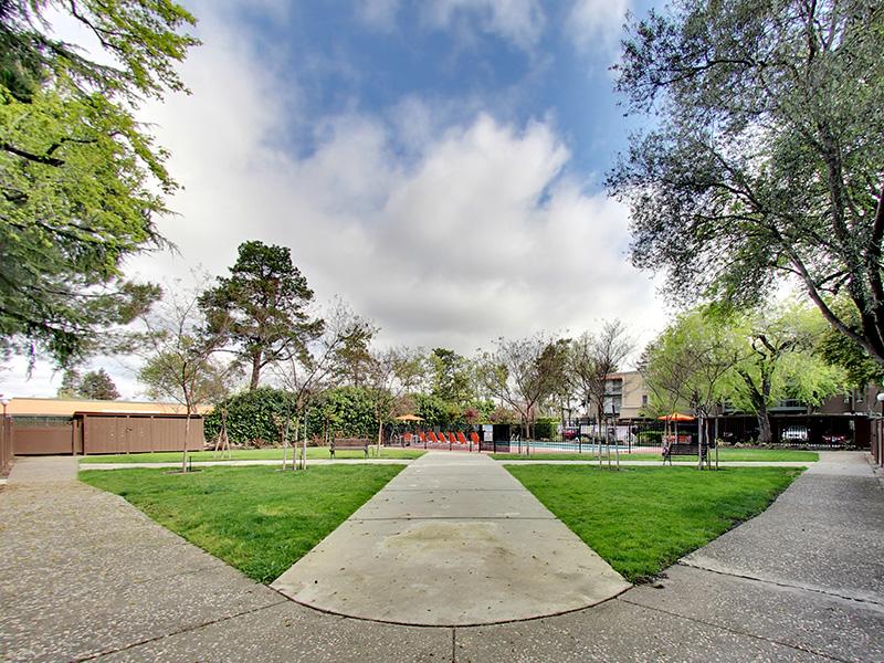 Walking Path | Sunset Pines Apartments in Concord, CA