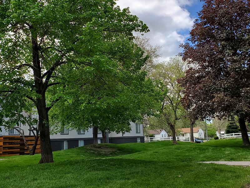 Lush Landscaping | Downtown West Apartments