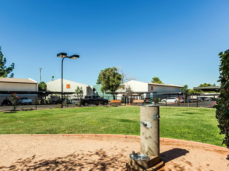 Pet Park | Portola North Phoenix