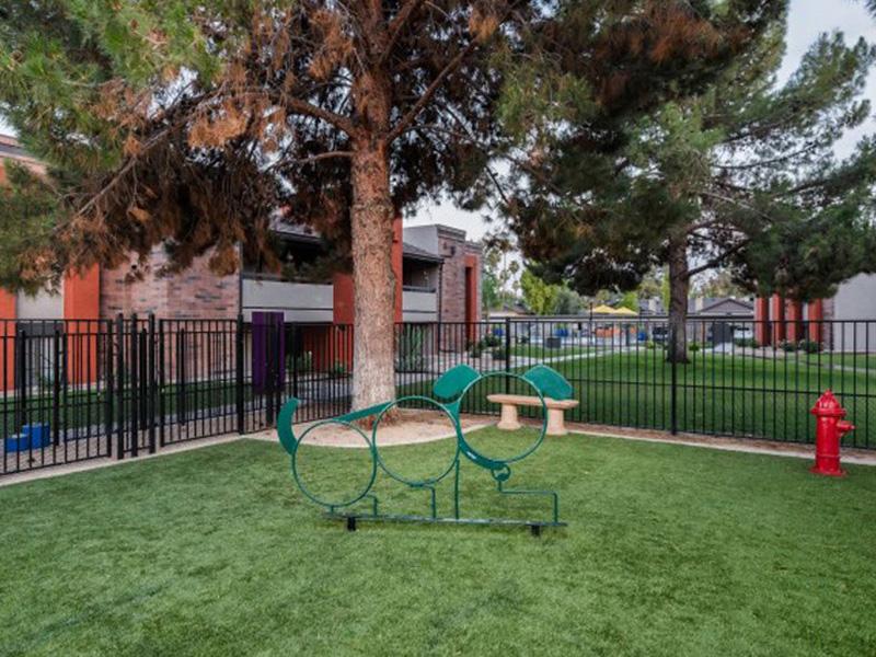 Bark Park | Aria on Mill
