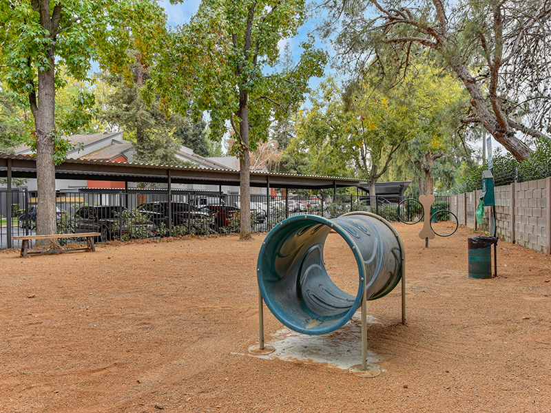 Pet Park | The Vue