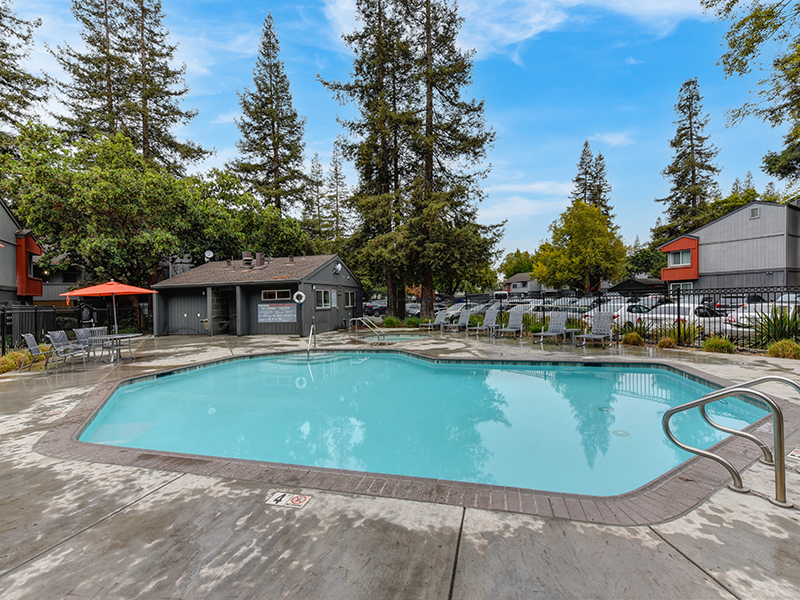 Swimming Pool | The Vue