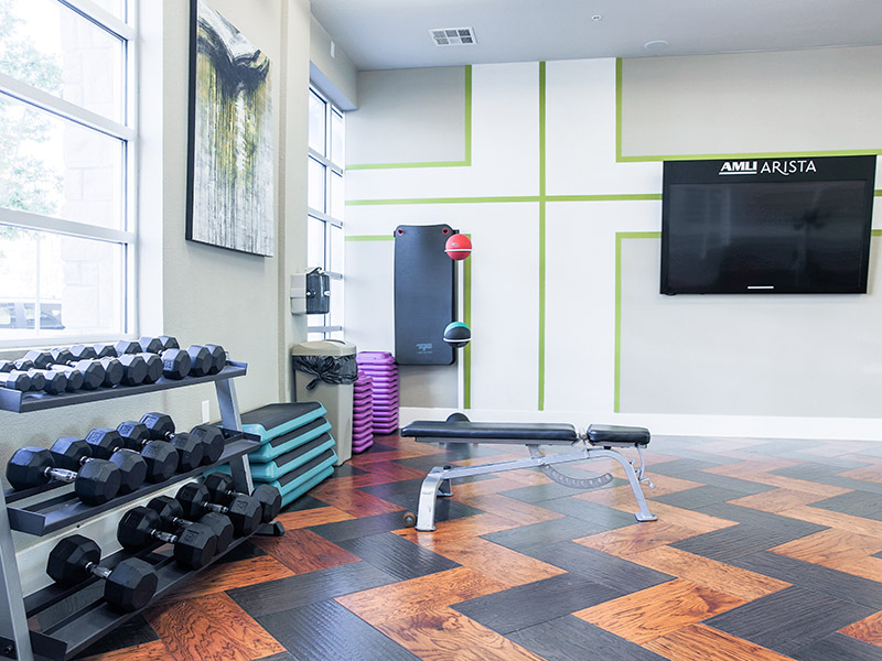 Fitness Center | Arista Flats