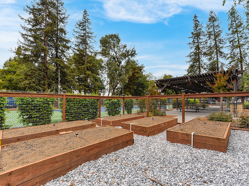 Community Garden | The Vue