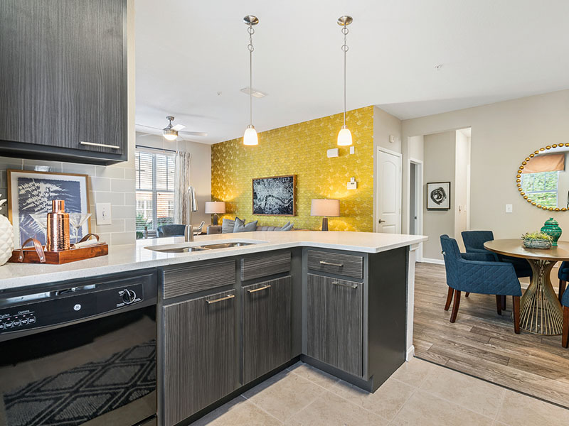 Kitchen | Millennium Apartments