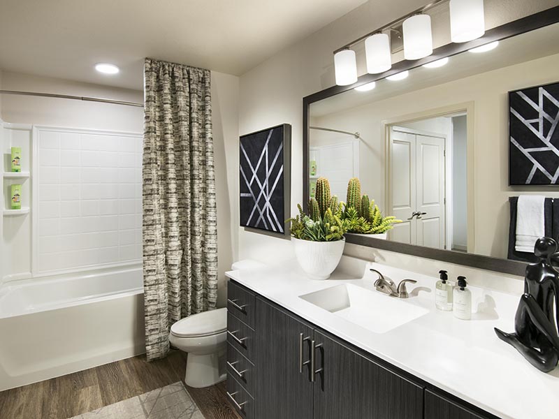 Bathroom | Parc at South Mountain