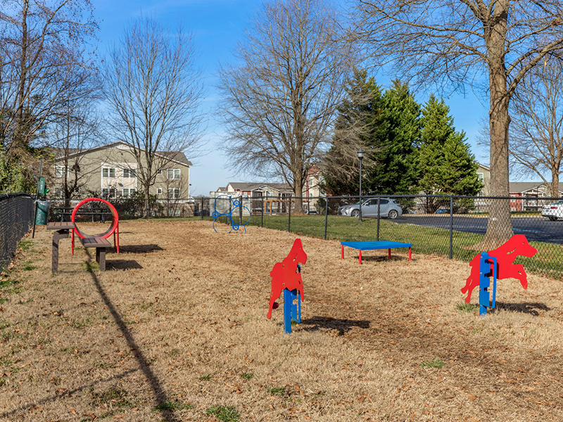 Dog Park | Piedmont at Ivy Meadows Apartments in Charlotte, NC