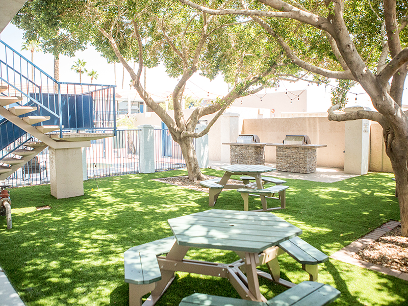 Vivo Mesa Apartments in Mesa, AZ 85201 | Market Apartments