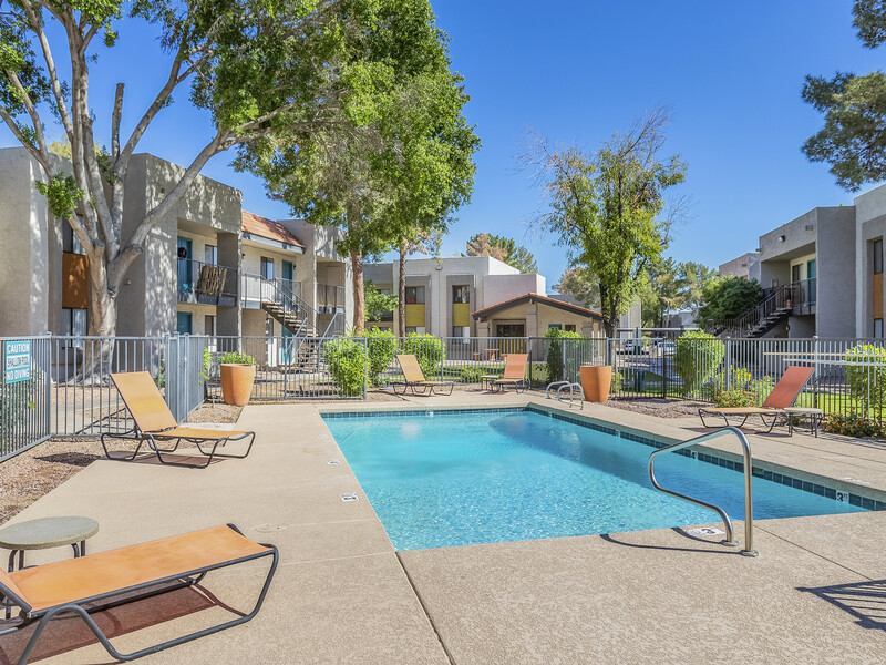 Swimming Pool | Omnia on 8th Apartments in Tempe, AZ