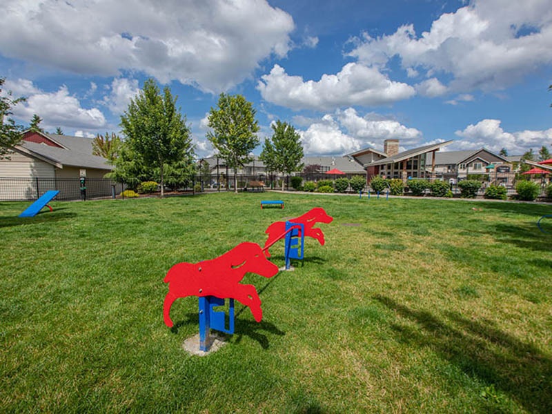 Dog Park | The Outlook Apartments in Graham, WA