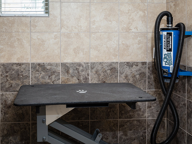 Pet Wash Station | Arista Flats