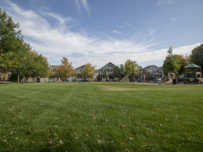 Large Fields | Enclave Belle Creek