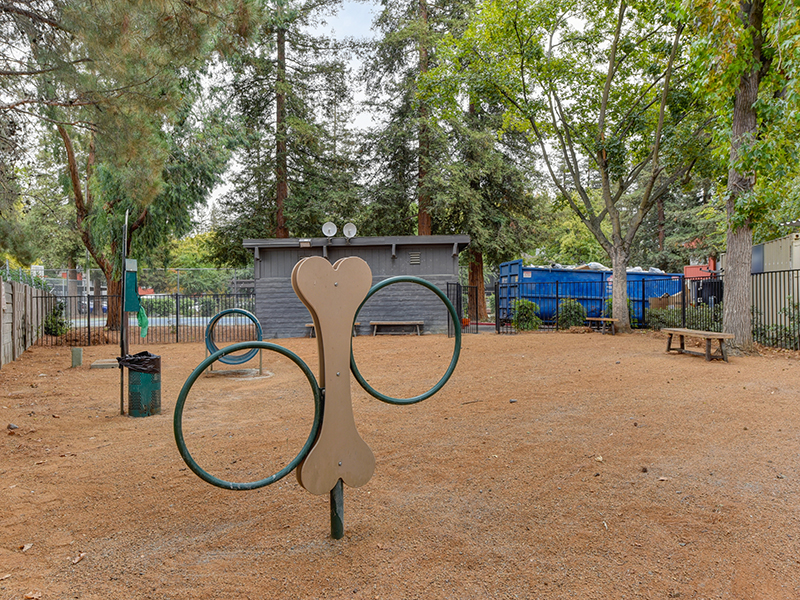 Dog Park | The Vue