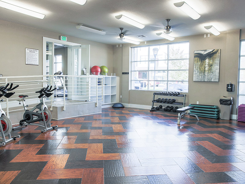 Gym | Arista Flats