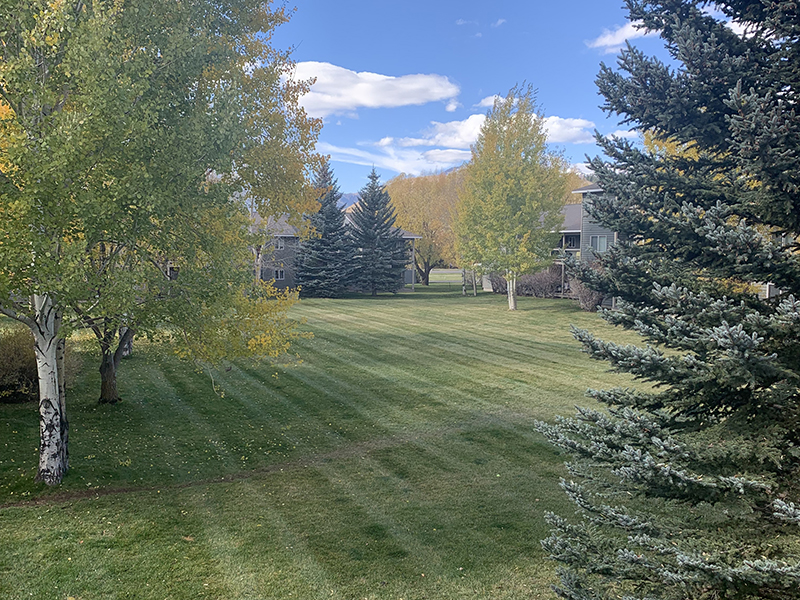 Beautiful Landscaping | Blair Place Apartments in Jackson, WY