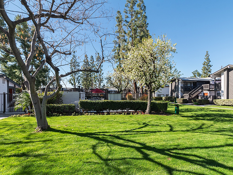 Apartment Exterior | Portola Redlands Apartments in Redlands, CA