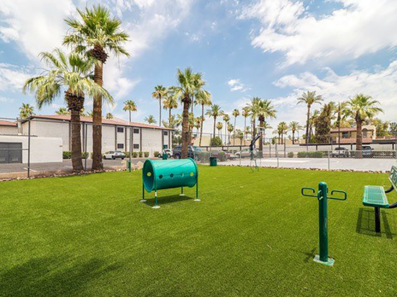 Dog Park | Prados Apartments at Arcadia