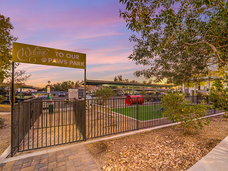 Pet Park | Tribeca North Luxury
