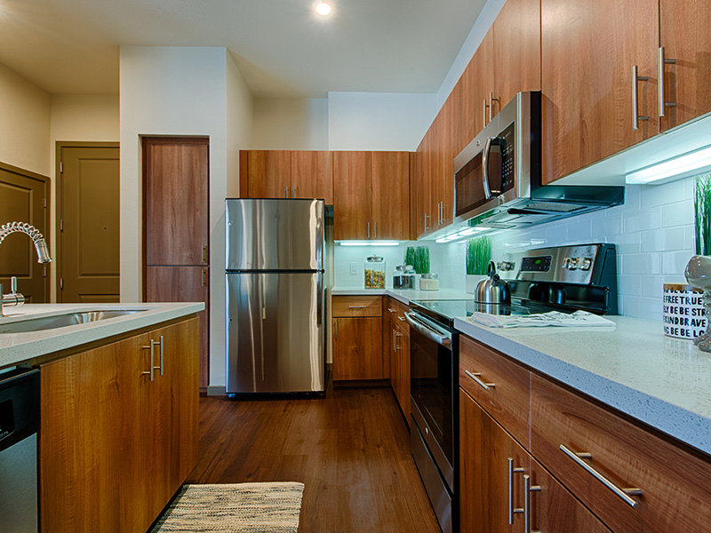 Stainless Steel Appliances | Skye at McClintock Station