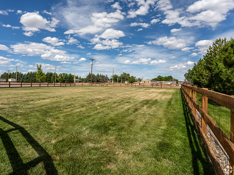 Pet Friendly | College Park Townhomes Gillette, WY