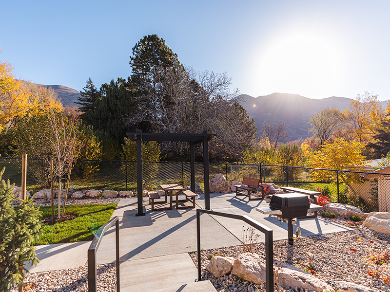 BBQ & Picnic Area | Whisperwood by Lotus
