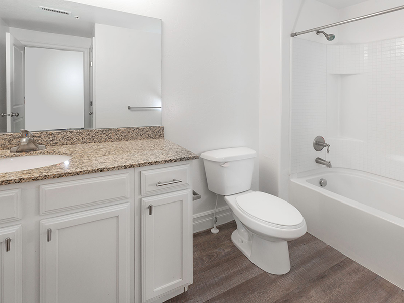 Bathroom | The Hills at Renaissance