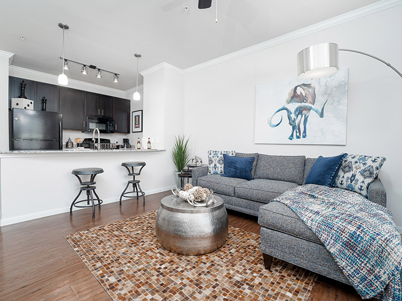 Living Room | Cascadia Apartments in San Antonio, TX