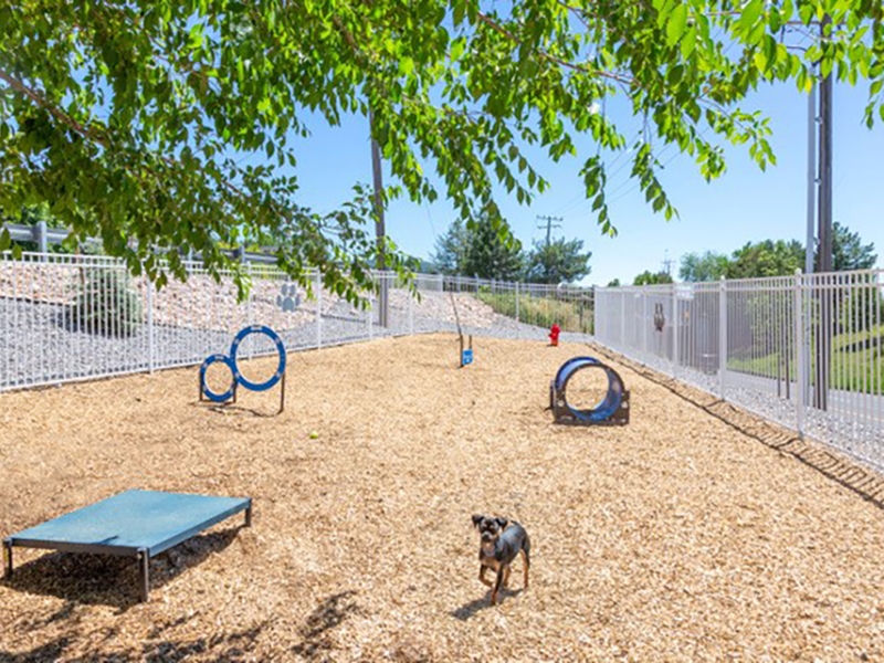 Dog Park | The Hills at Renaissance