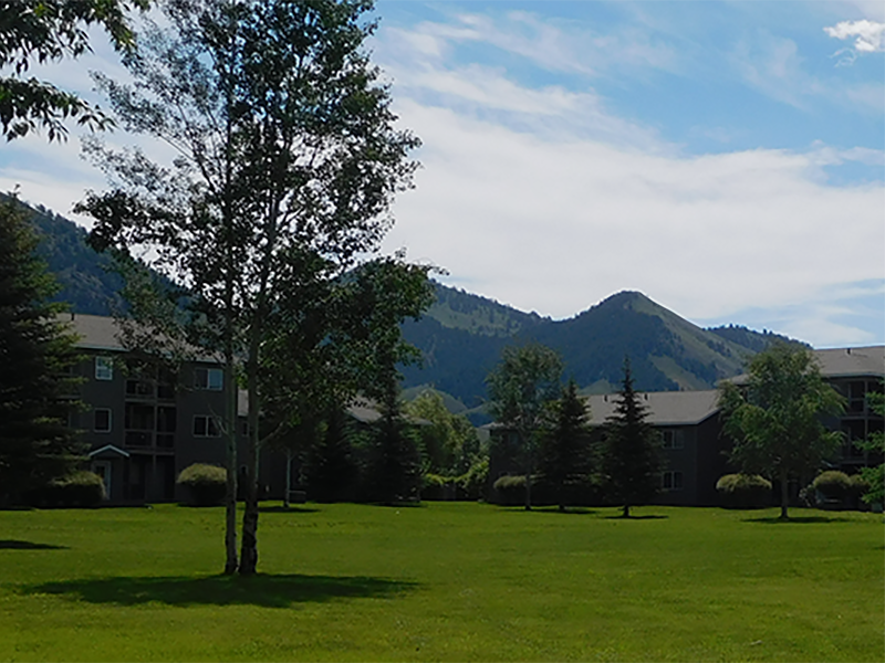 Grounds | Blair Place
