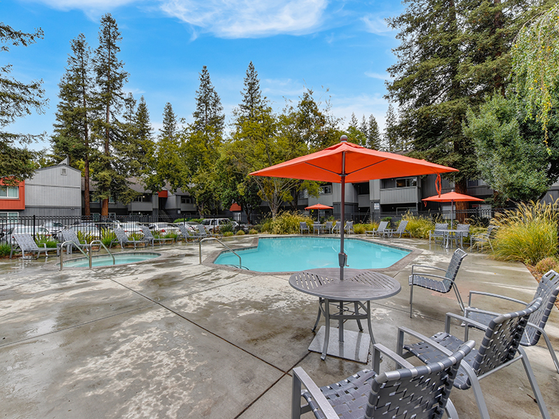 Pool | The Vue