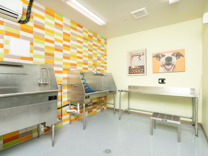 Pet Washing Station | Skye at McClintock Station Apartments in Tempe, AZ