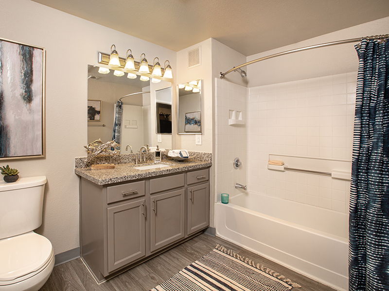 Bathroom | High Rock 5300 Apartments in Sparks, NV