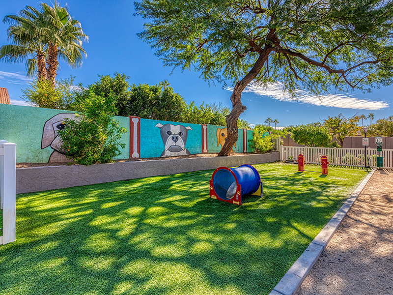 Dog Park | Talavera Apartments in Tempe, AZ