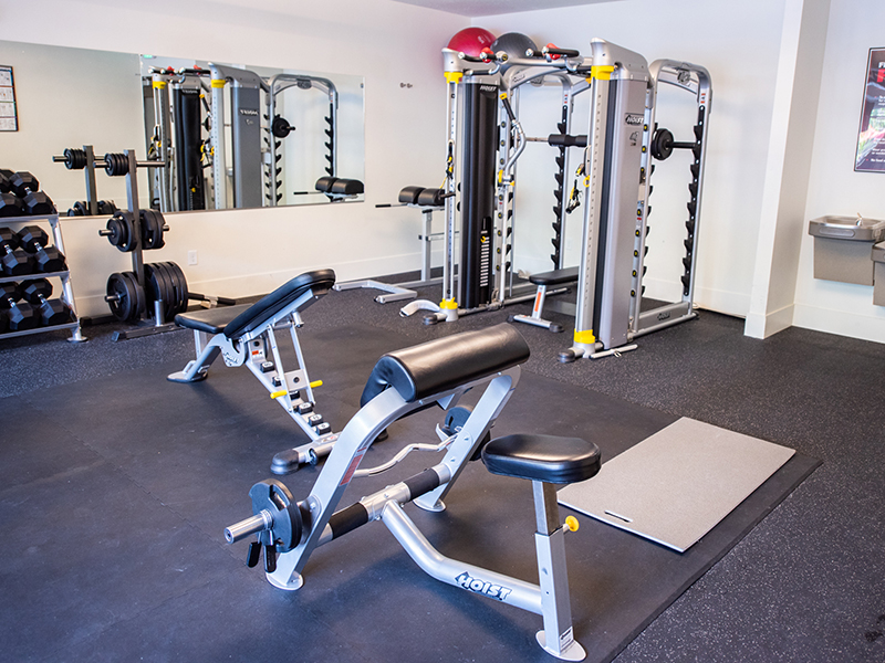 Fitness Center | Artesian Springs Apartments