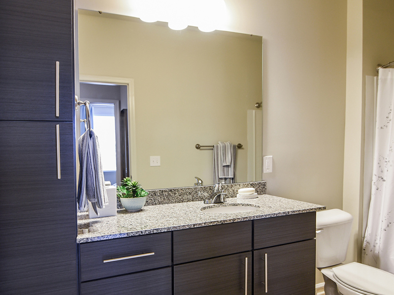 Bathroom | Willows at the University Apartments in Charlotte, NC