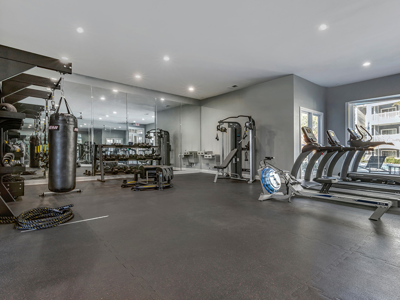 Fitness Center | Piedmont at Ivy Meadows Apartments in Charlotte, NC