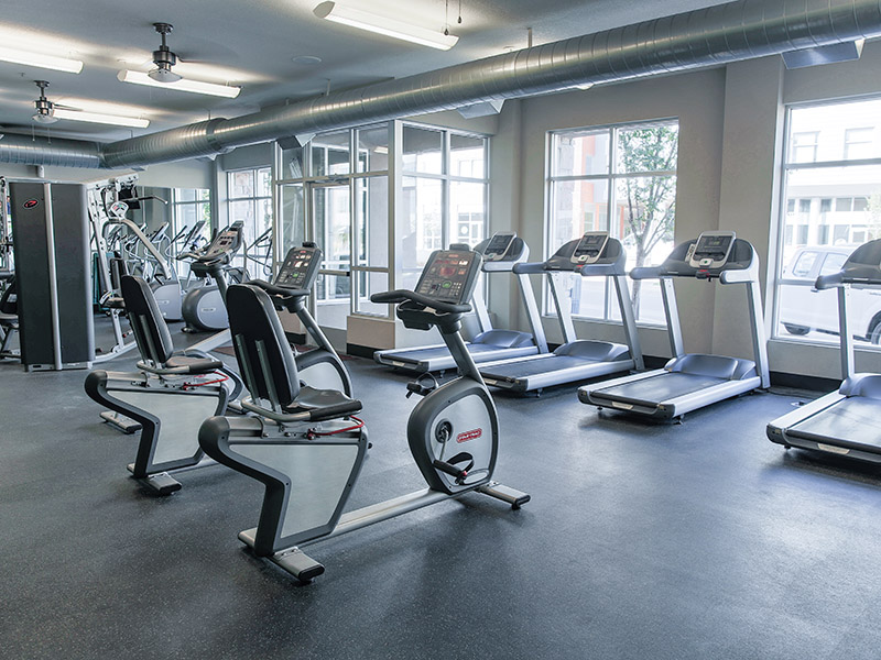 Cardio Center | Arista Flats