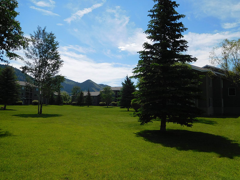 Beautifully Landscaped Grounds