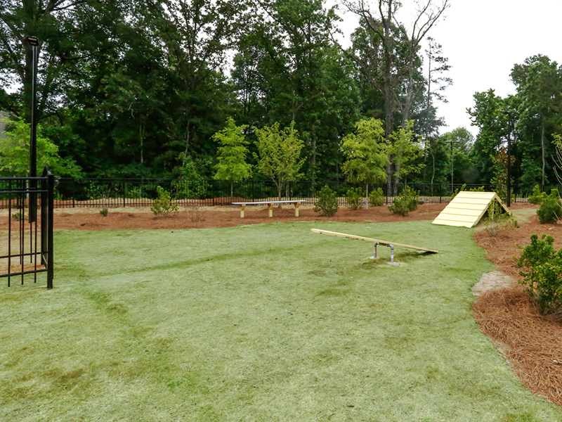 Dog Park | Willows at the University Apartments in Charlotte, NC