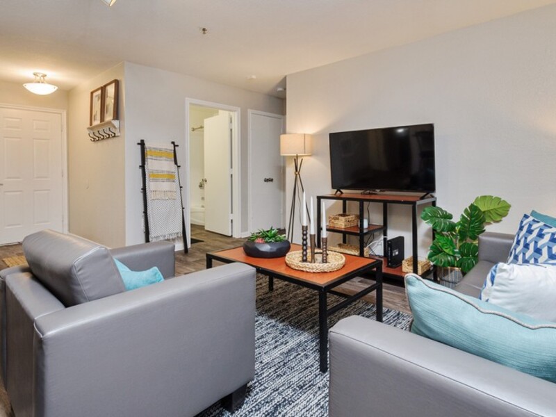 Living Room | The Social 1600 Student Living in Tallahassee, FL