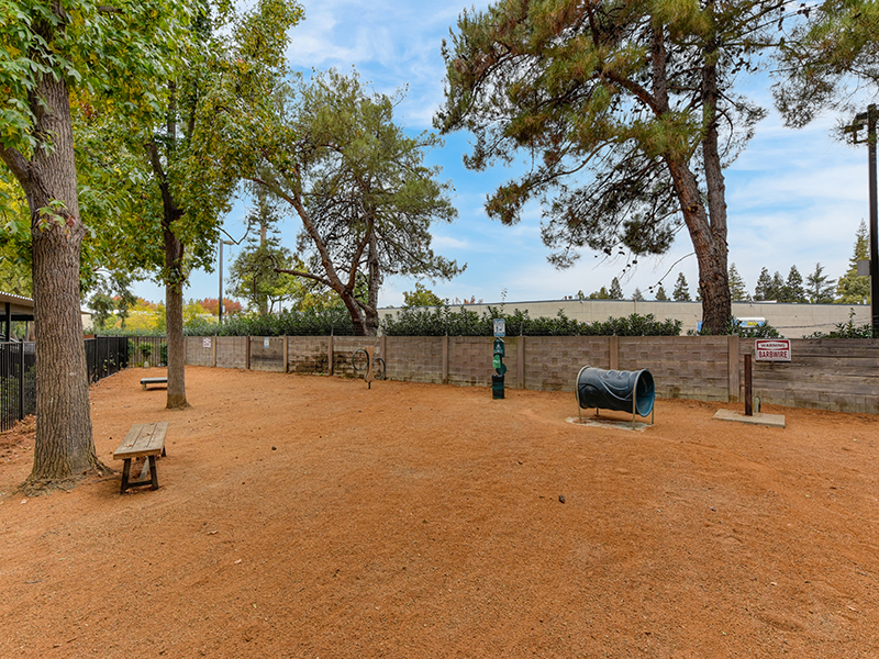 Bark Park | The Vue