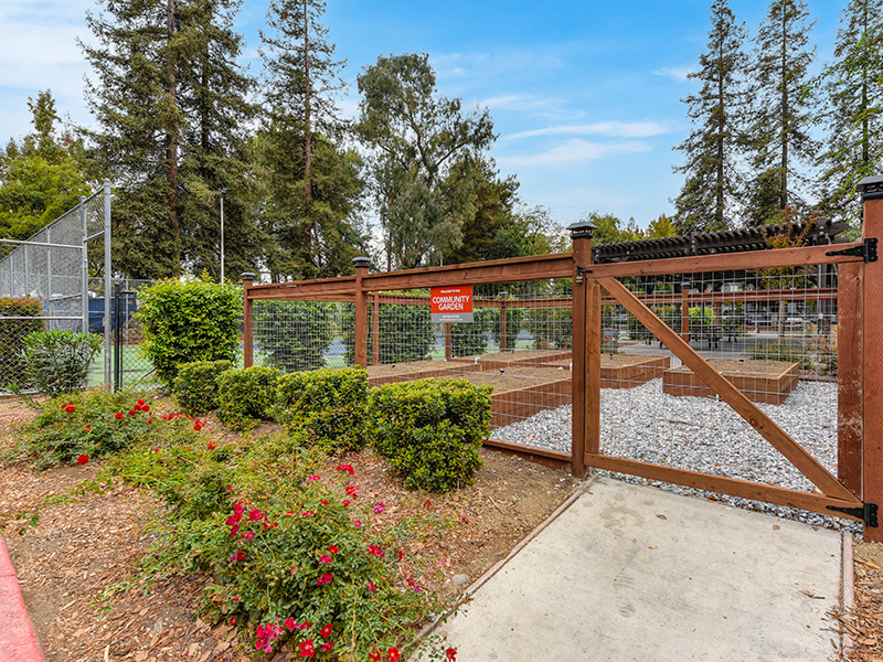 Community Garden | The Vue