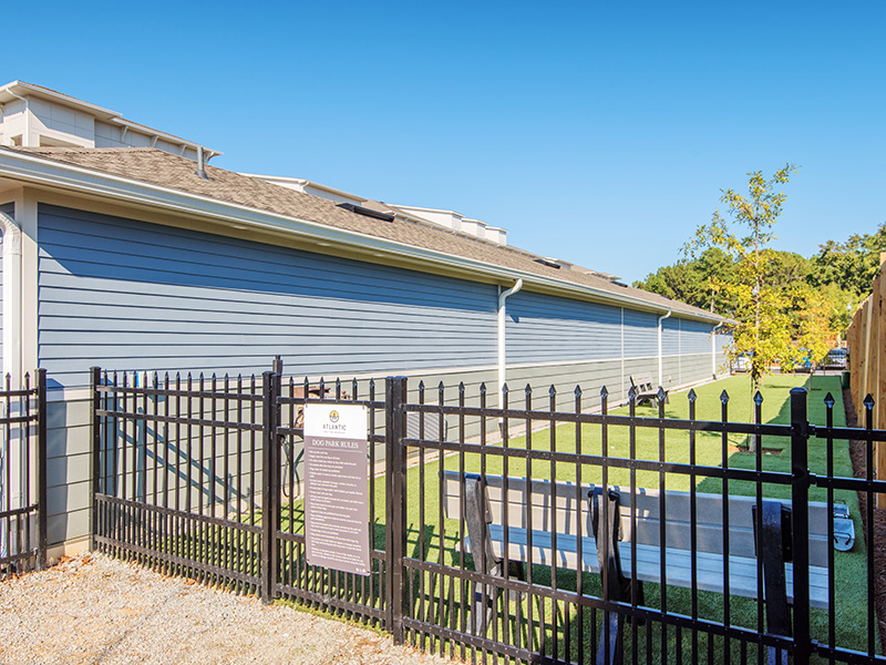 Bark Park | Atlantic on the Avenue