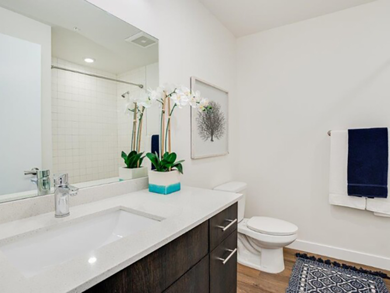Bathroom | Lofts at Reed