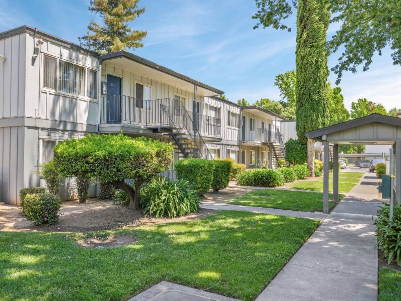 Shenandoah  in Sacramento, CA