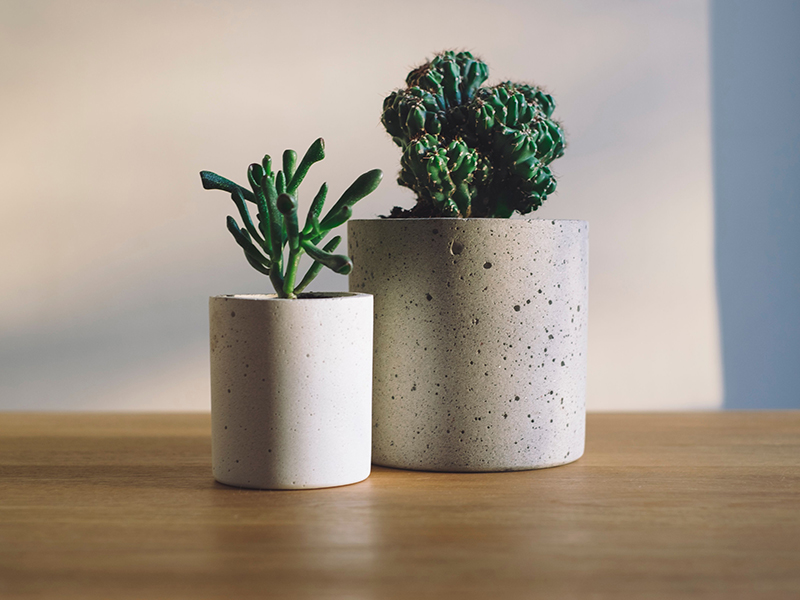 Montecito Village  in Ramona, CA