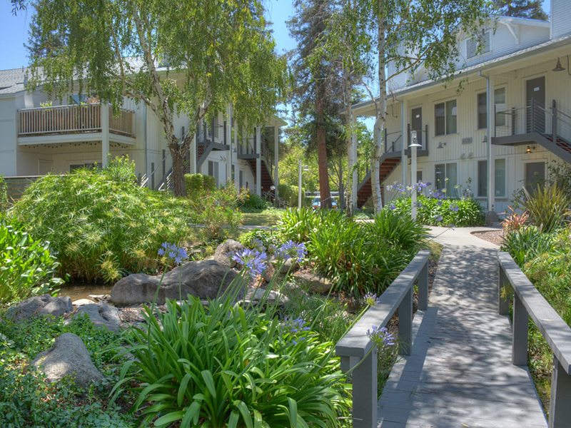 Cotton Wood Apartments in Dublin, CA