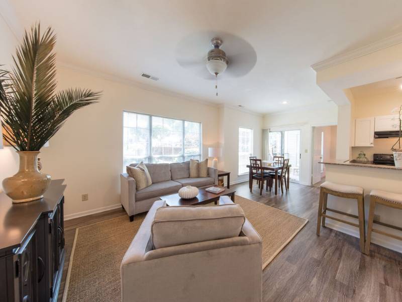 42 Magnolia + 5000 Forest  in Columbia, SC