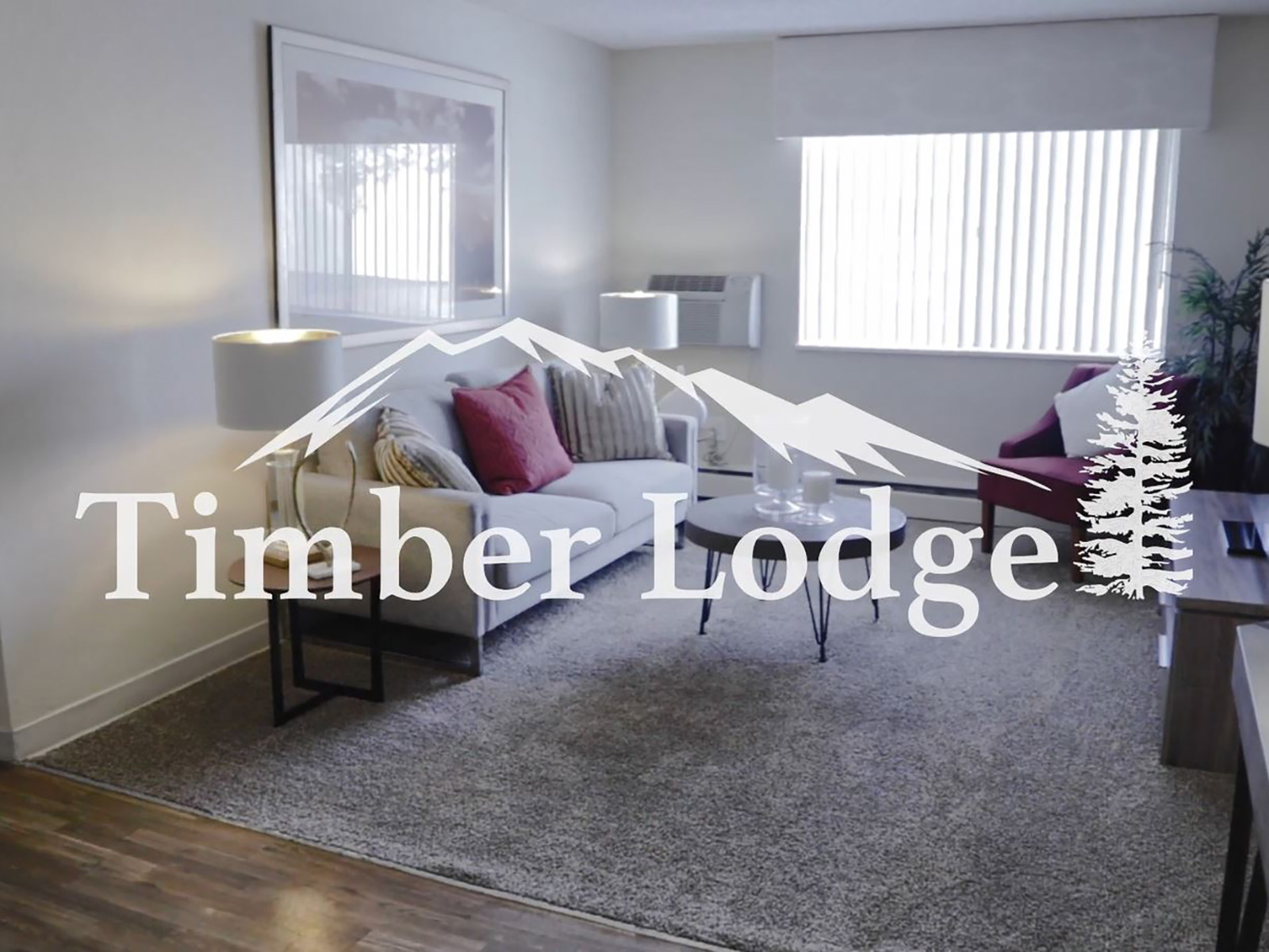 Take a tour of Timber Lodge Apartments from the comfort of your very own home. Here, you can create the lifestyle that you have been waiting for. Join us today! 